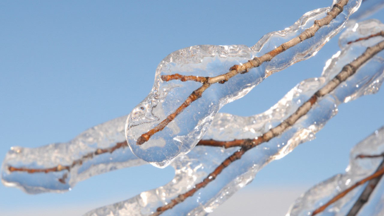Εικόνα επιλογής