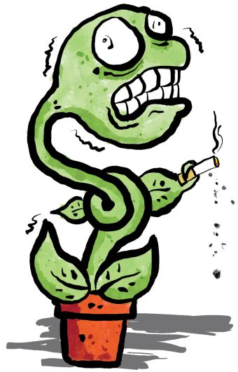 Εικόνα επιλογής