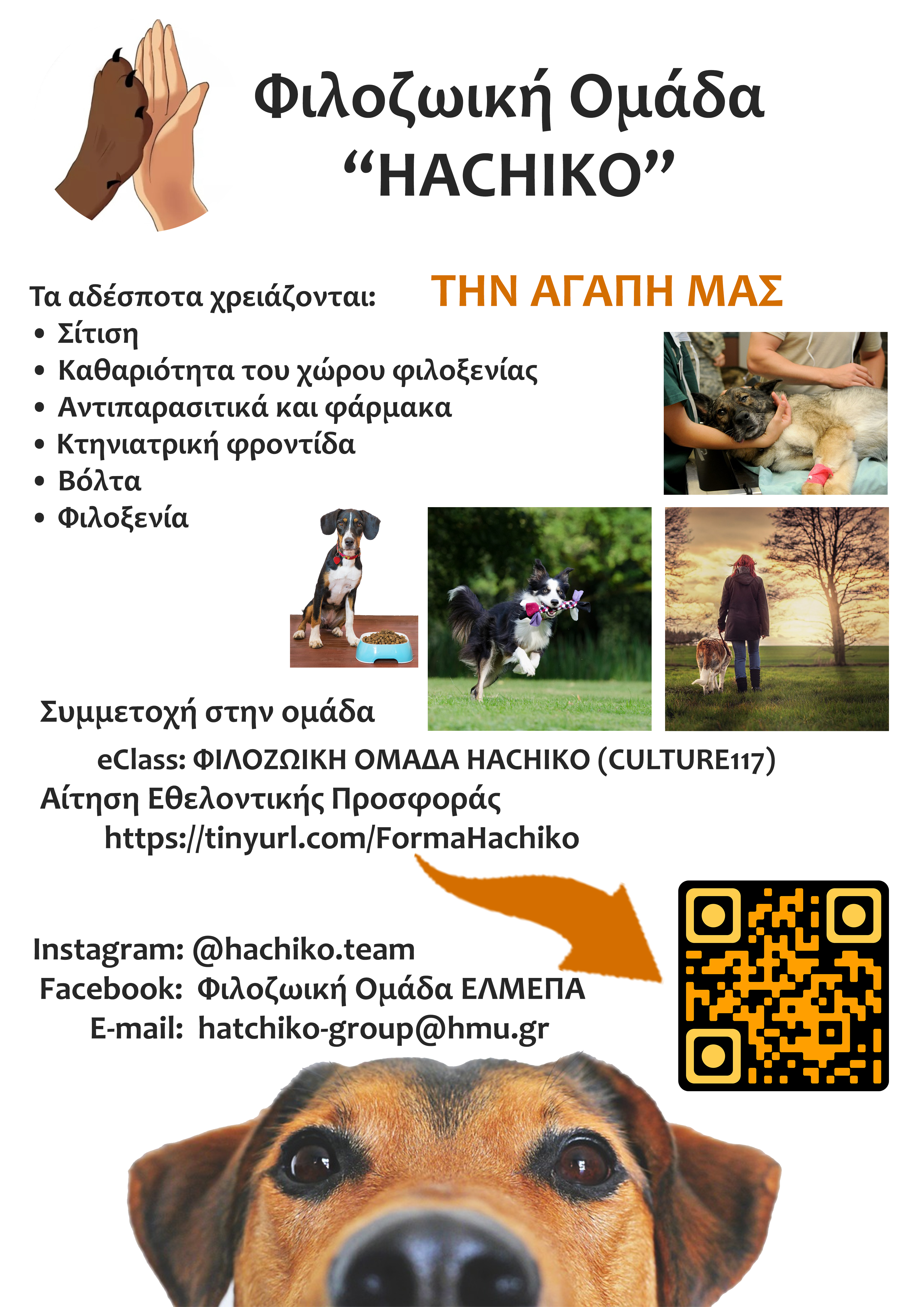 Εικόνα επιλογής