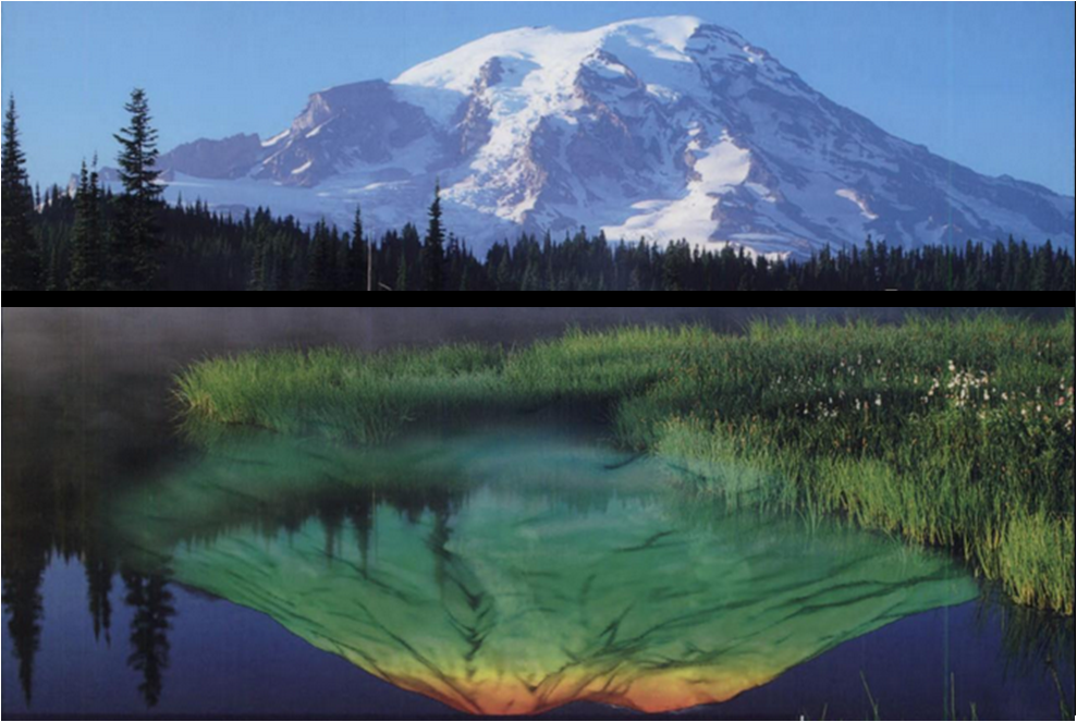 Εικόνα επιλογής