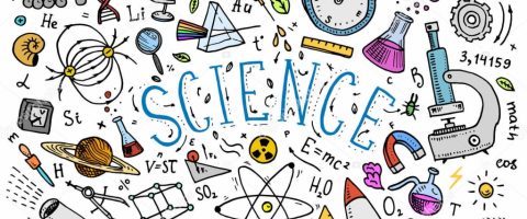 Εικόνα επιλογής