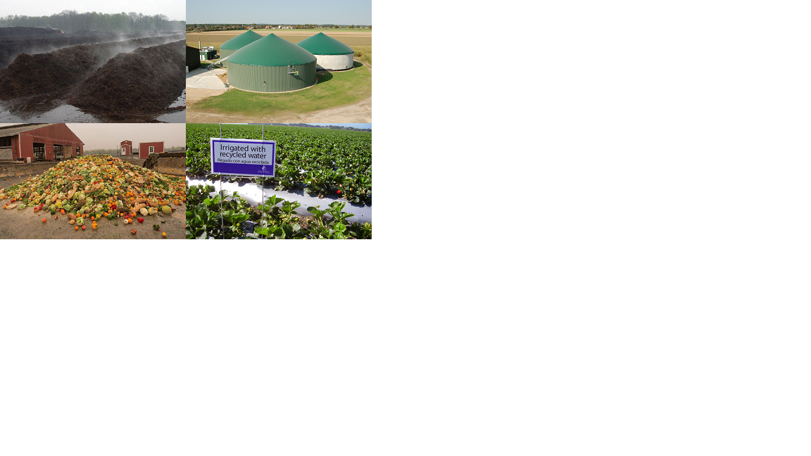 Εικόνα επιλογής