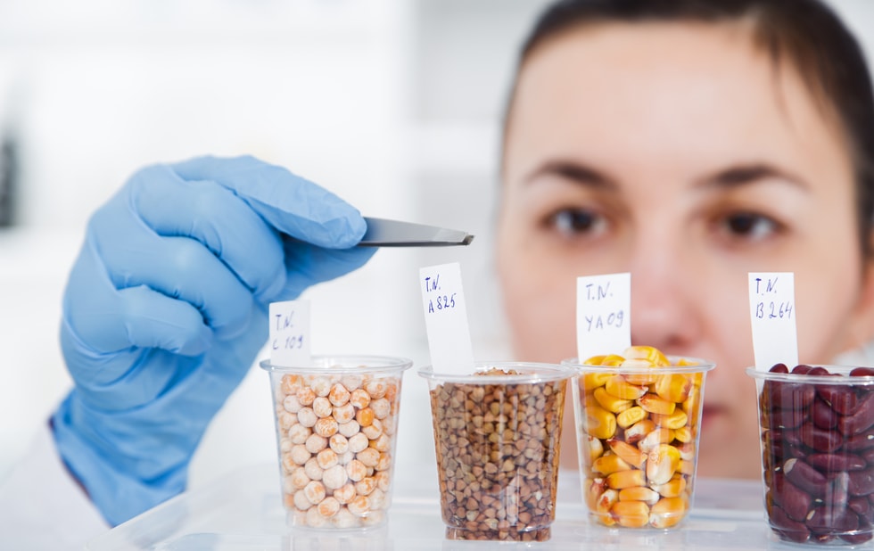 Εικόνα επιλογής