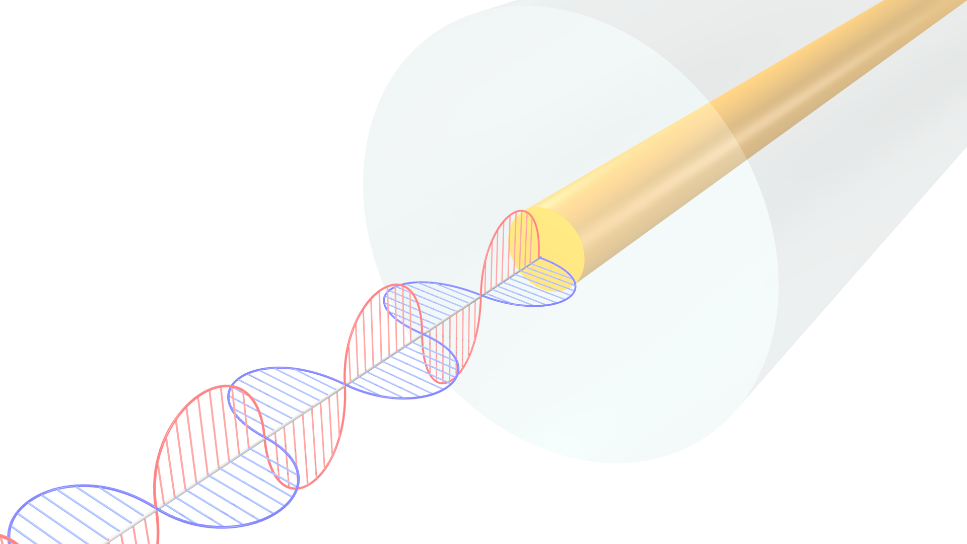 Εικόνα επιλογής